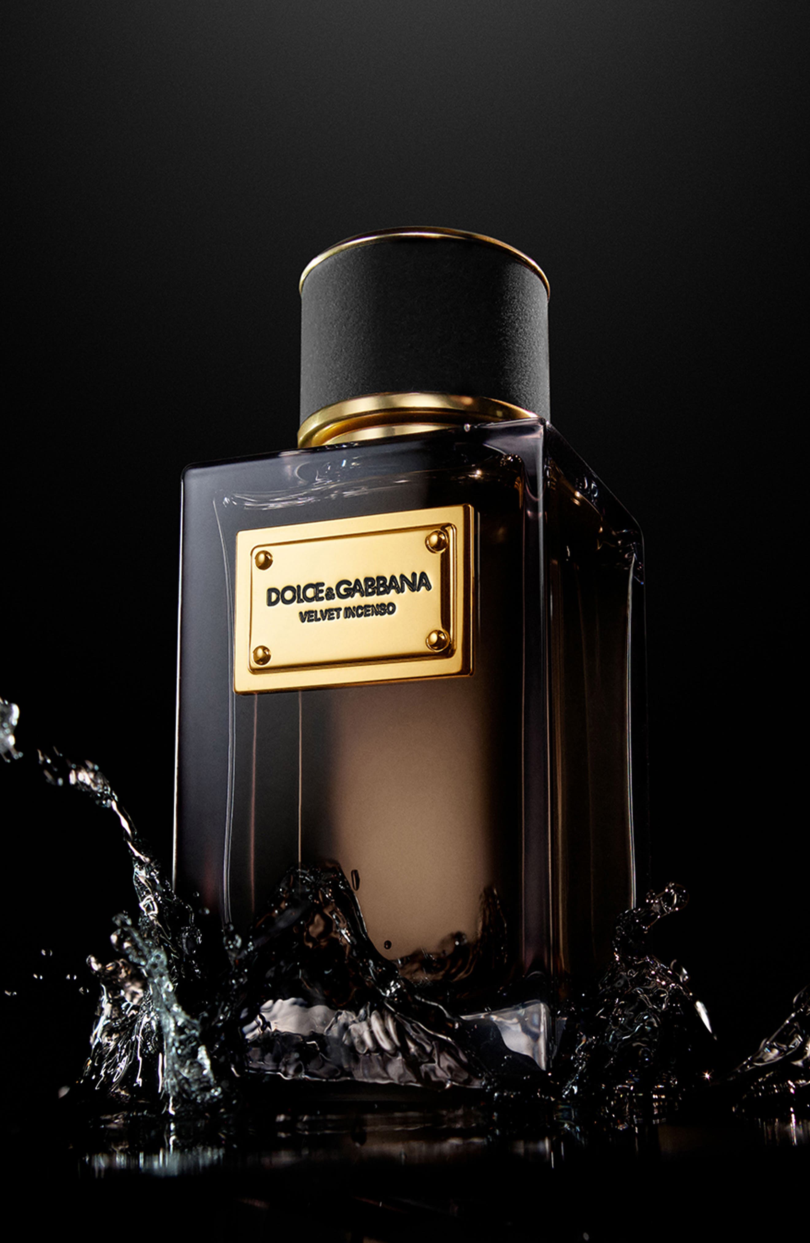 Dolce&Gabbana Velvet Incenso Eau de Parfum (Women) | Nordstrom