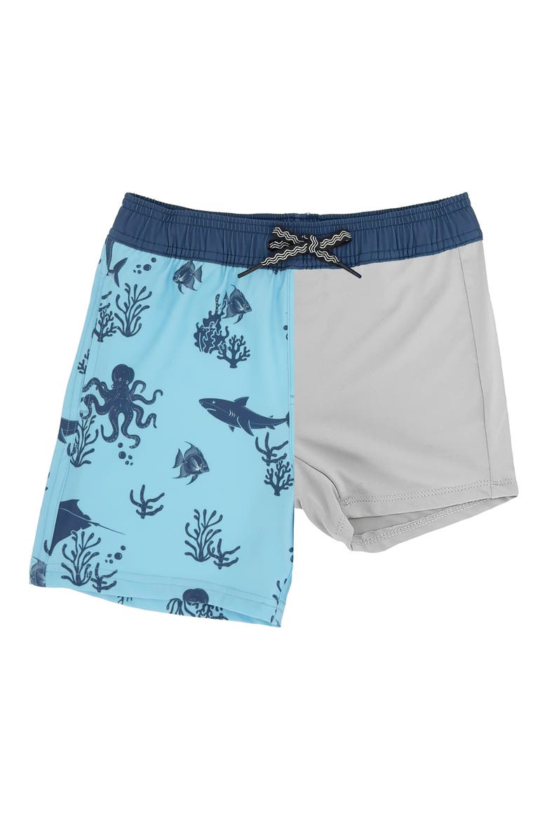 Kids' Aquatic Print Volley Swim Trunks, Alternate, color, CRYSTAL BLUE