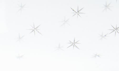 The Vintage List Set Of 2 Crystal Cocktail Glasses In Transparent