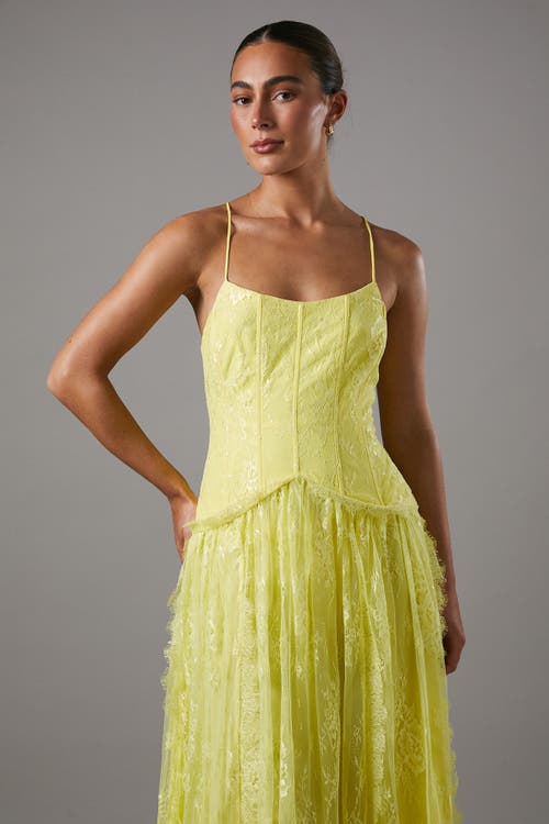 Coast Lace Cami Maxi Dress In Yellow