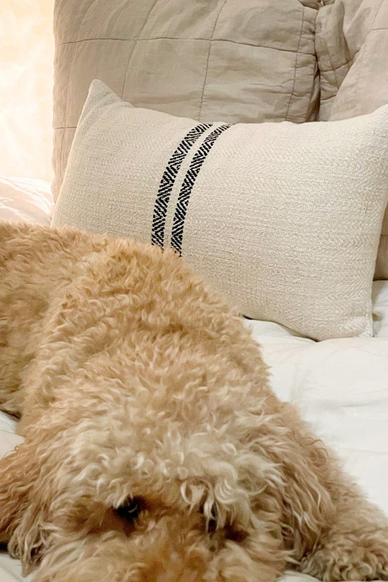Hugh Lumbar Pillow Cover, Alternate, color, Cream