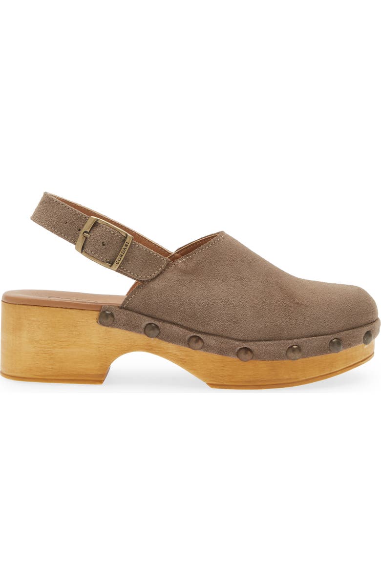 Cordani Wilkes Platform Clog, Alternate, color, Fango Suede