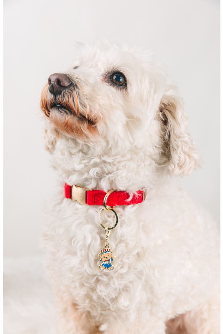 American Bear Pet Collar Charm, Alternate, color, American Bear