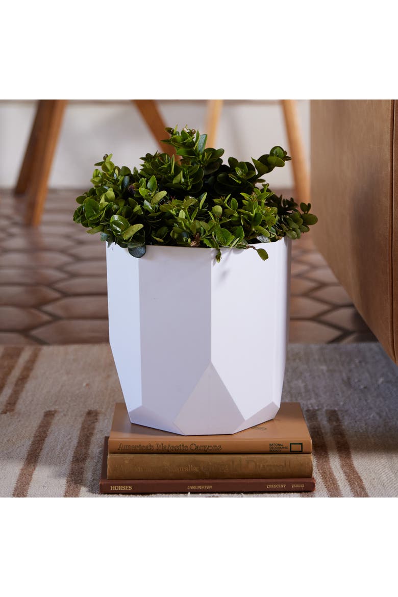 Tuxton Hexagon Planter 8 Inch Casper White, Alternate, color, White