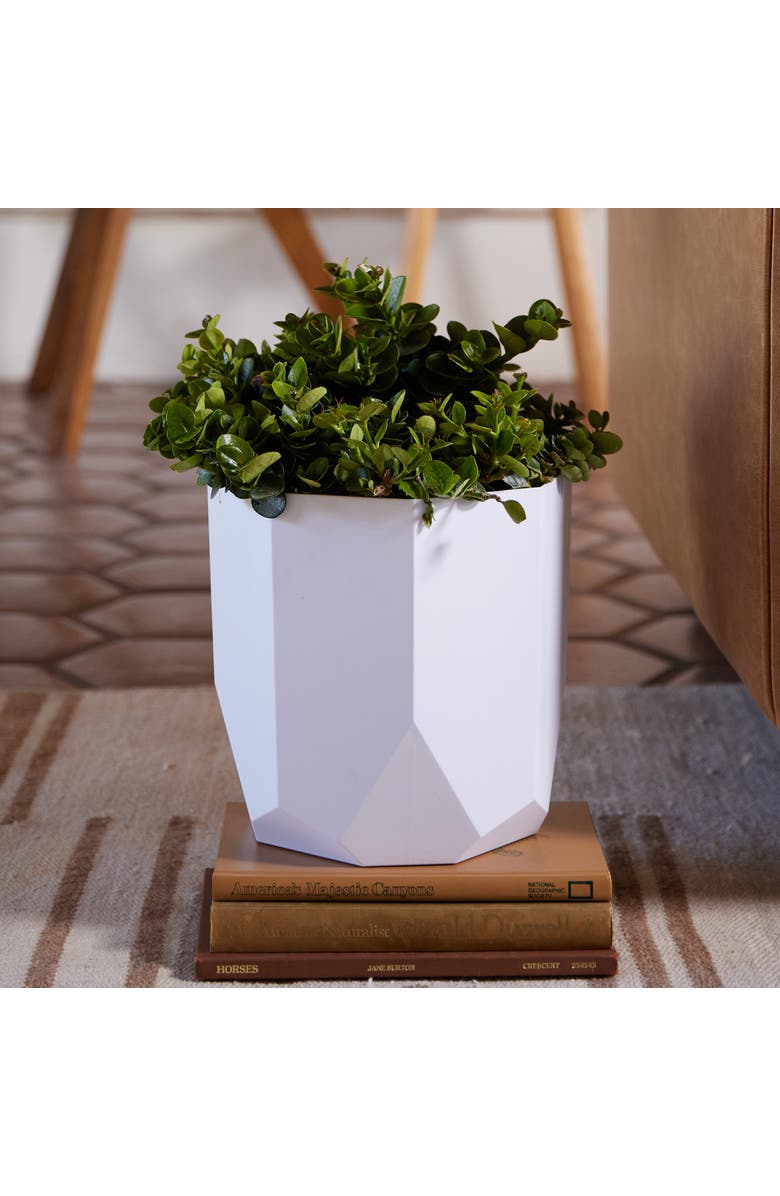 Bloem Tuxton Hexagon Planter 8 Inch Casper White, Alternate, color, White
