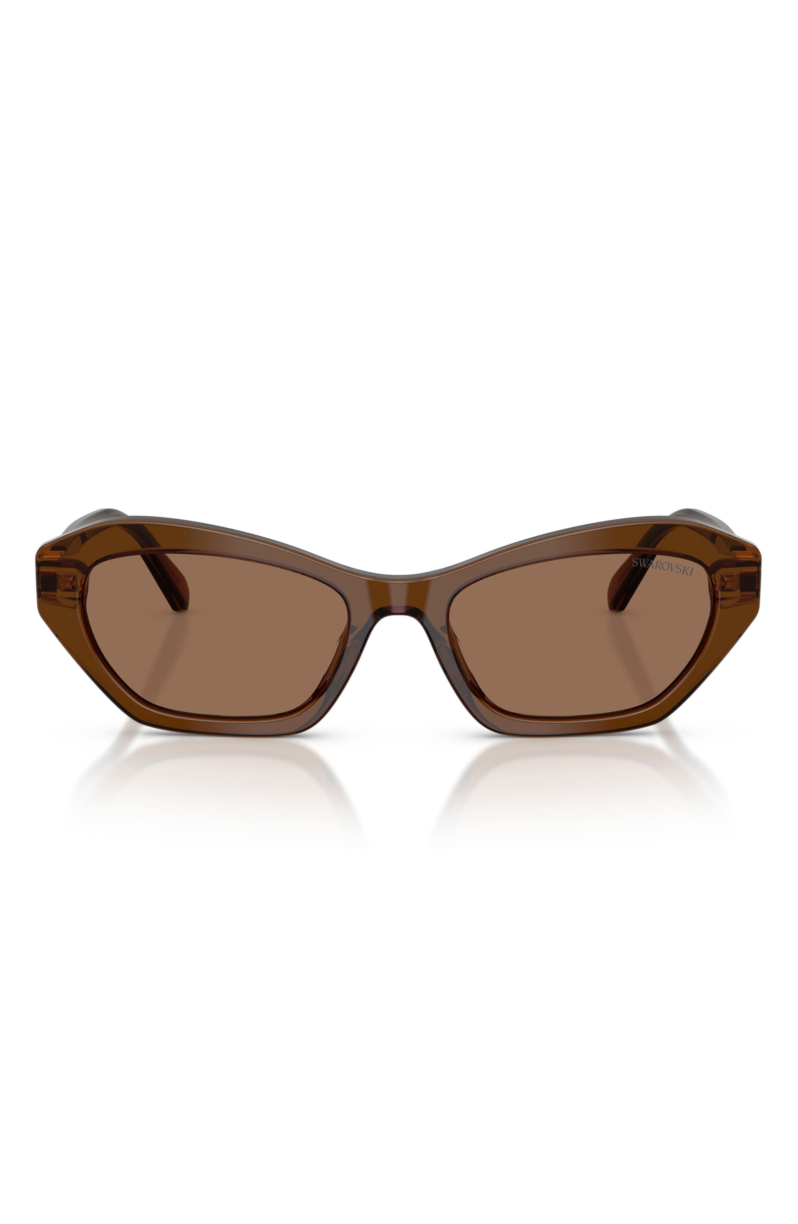 TRANSPARENT BROWN / DARK BROWN