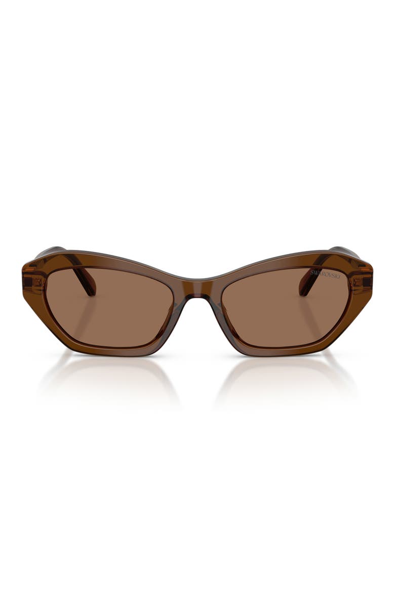 54mm Cat Eye Sunglasses, Main, color, TRANSPARENT BROWN / DARK BROWN