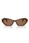  Transparent Brown / Dark Brown