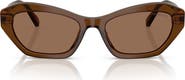 Swarovski 54mm Cat Eye Sunglasses