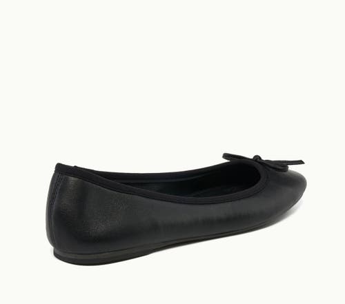 GRACE FOOTWEAR GRACE FOOTWEAR LILY SLIP ON 