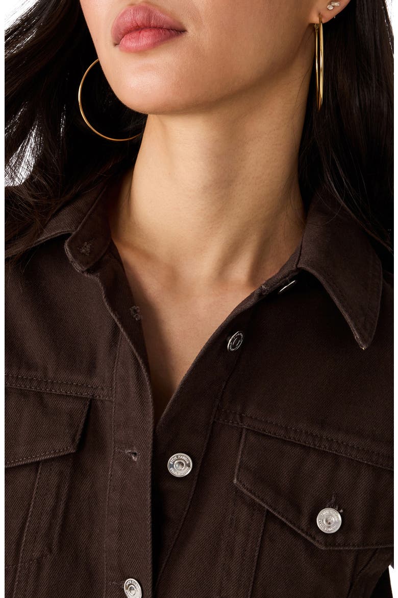 Dove Cropped Denim Jacket, Alternate, color, ESPRESSO