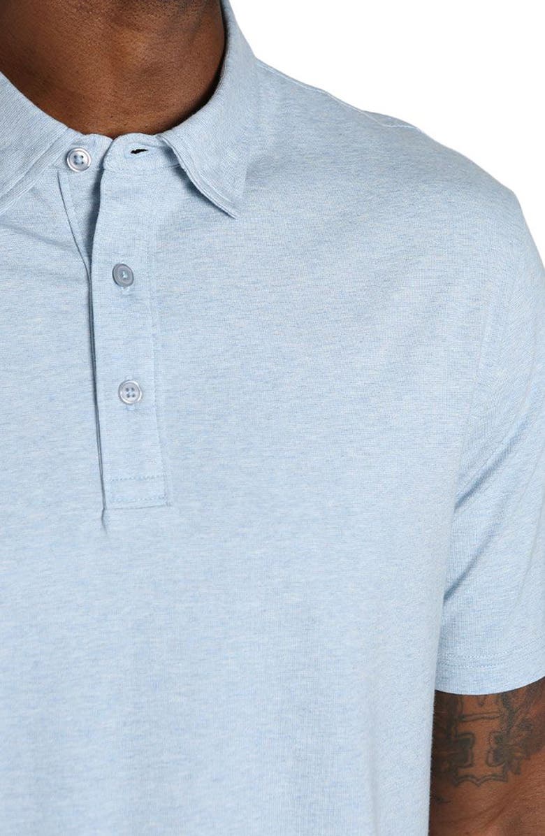 JACHS Cotton Blend Polo, Alternate, color,