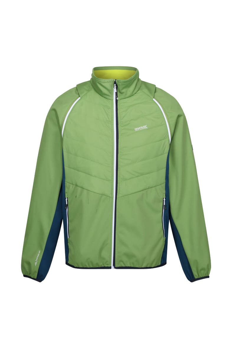 Steren II Softshell Hybrid Jacket, Main, color, Piquant Green  Moroccan