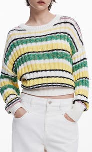 Desigual Stripe Crewneck Sweater