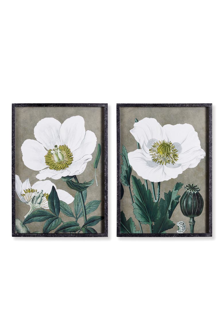 19.75" x 27.5" Stunning Poppy Floral Flower Art Prints in Fir Wood Frame w/ Glass Pane Set of 2, Main, color, Gray