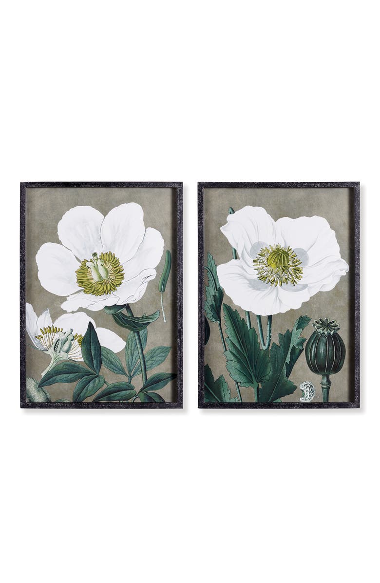 Napa Home & Garden 19.75" x 27.5" Stunning Poppy Floral Flower Art Prints in Fir Wood Frame w/ Glass Pane Set of 2, Main, color, Grey