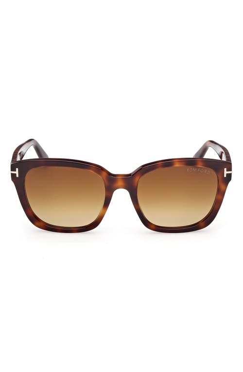 Tom Ford Beatrix Ft0613 52h Geometric Polarized Sunglasses In Shiny Hark Havana Eco