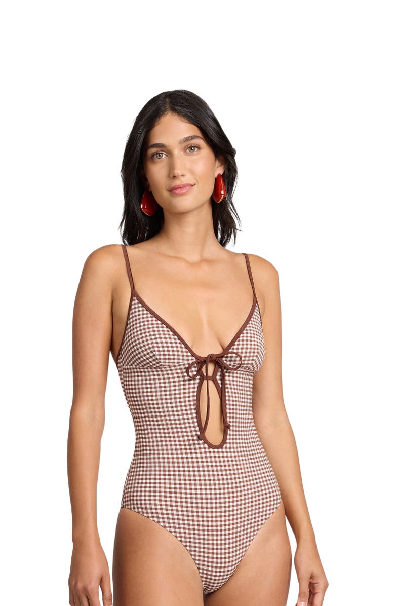 Onia Soleil Tie Front One-Piece, Alternate, color, Cappuccino/Egrt