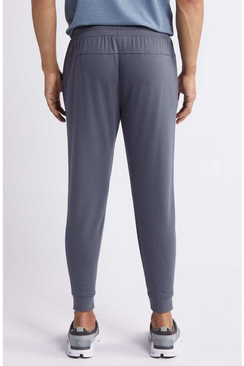 Brushed Fleece Joggers, Alternate, color, STORM CLOUD