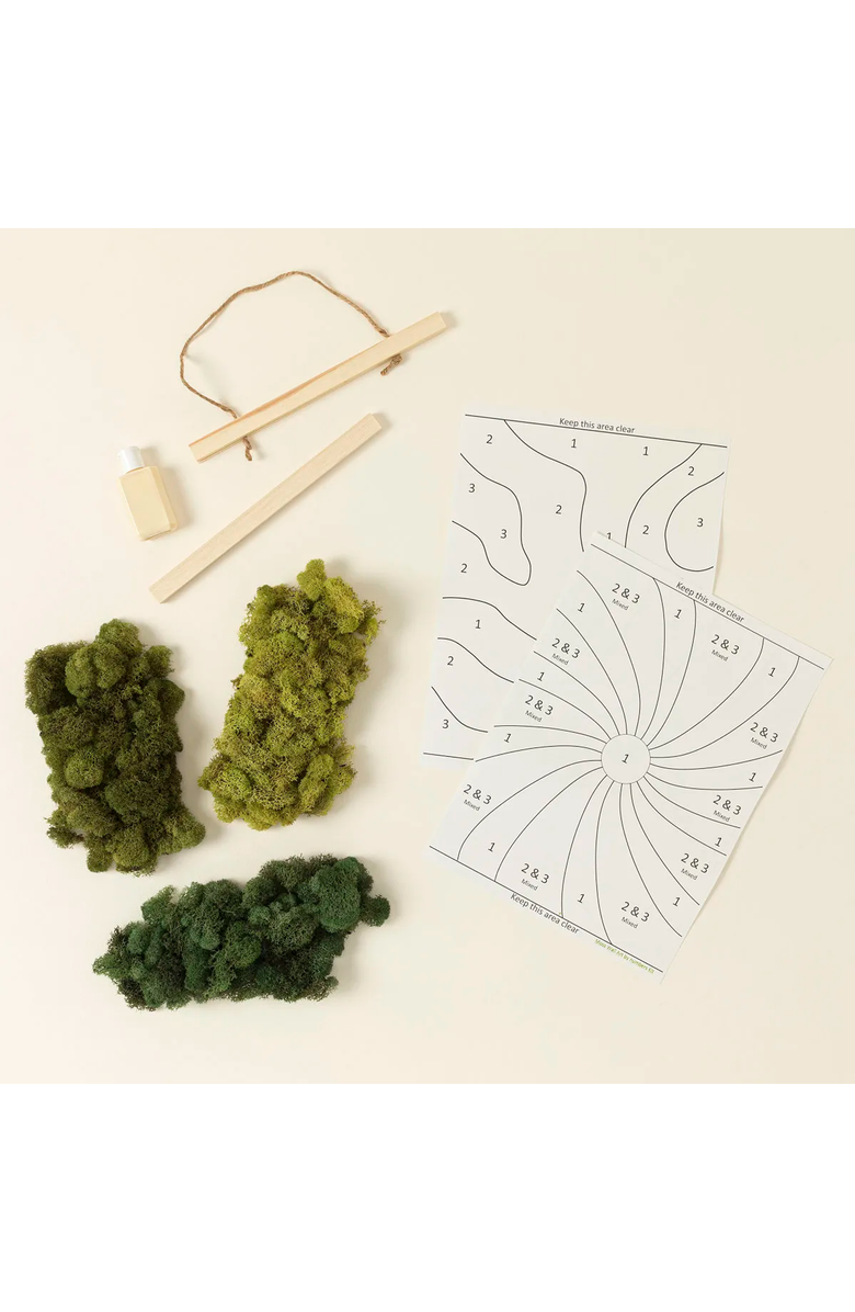 Uncommon Goods Moss Art by Numbers by Moss Art by Numbers, Alternate, color, 
