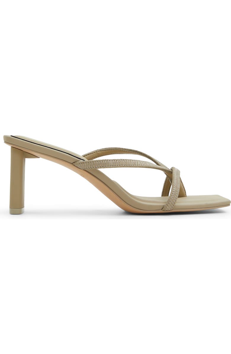 ALDO Sanne Slide Sandal, Alternate, color,