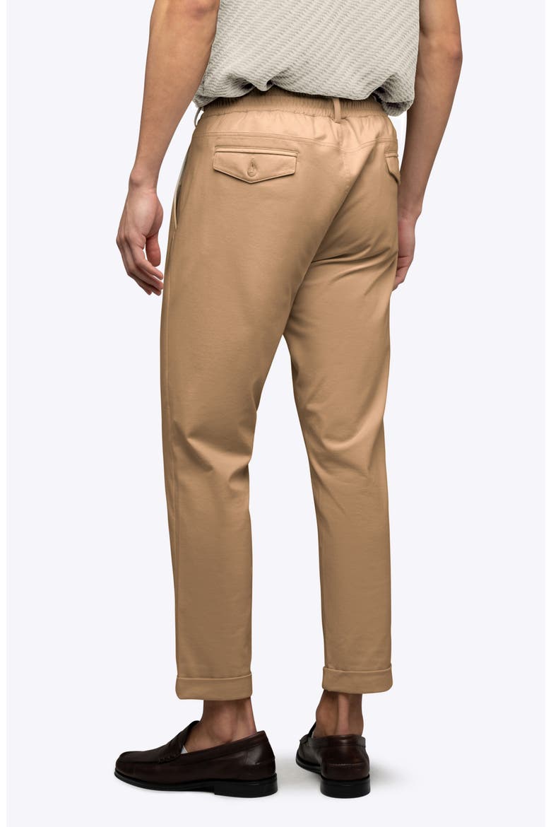 Soho Pleated Stretch Trousers, Alternate, color, SADDLE