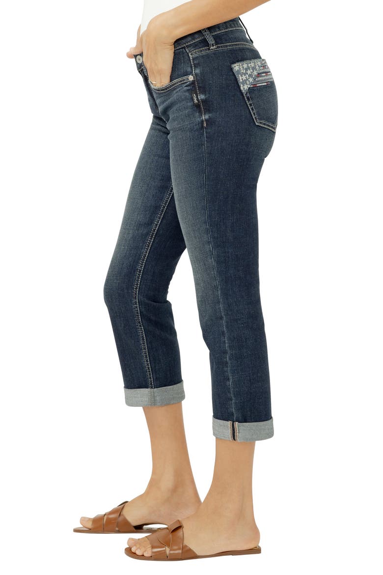 Suki Americana Curvy Mid Rise Capri Jeans, Alternate, color, DREAMSCAPE