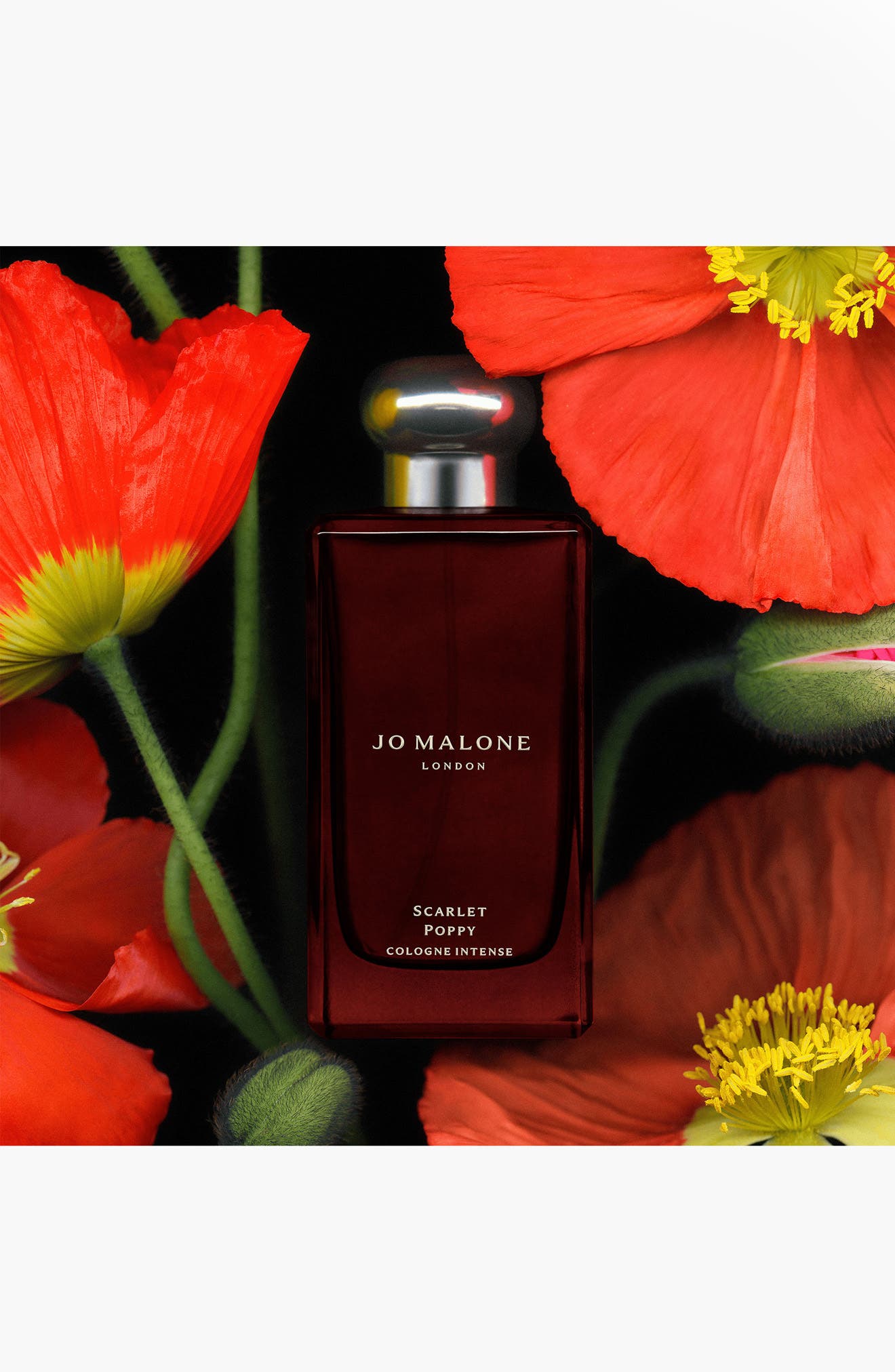 Jo Malone London™ Scarlet Poppy Cologne Intense | Nordstrom