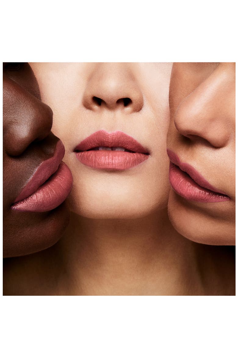 Private Rose Garden Satin Matte Lip Color Lipstick (Limited Edition), Alternate, color, ROSE DAMALFI