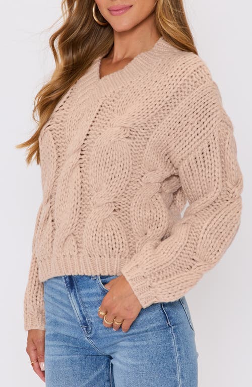Vici Collection Josephine Chunky V-neck Sweater In Brown