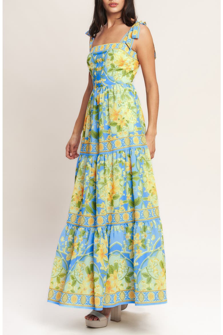 Printed Maxi Dress, Alternate, color, LIGHT BLUE