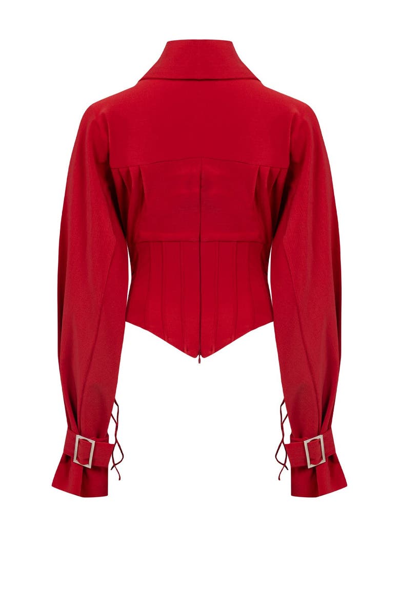 Wool Blend Your *Itch Corset Blouse, Alternate, color, Red