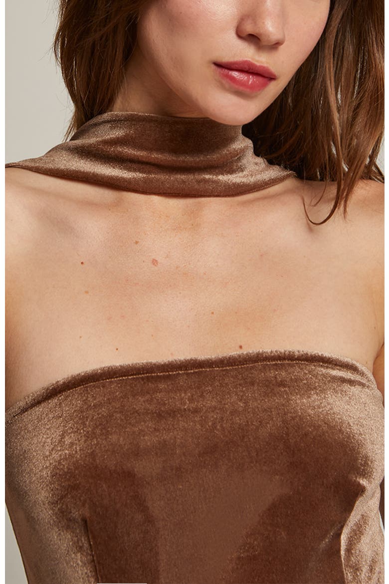Halter Neck Velvet Tube Midi Dress, Alternate, color, Mocha Mousse