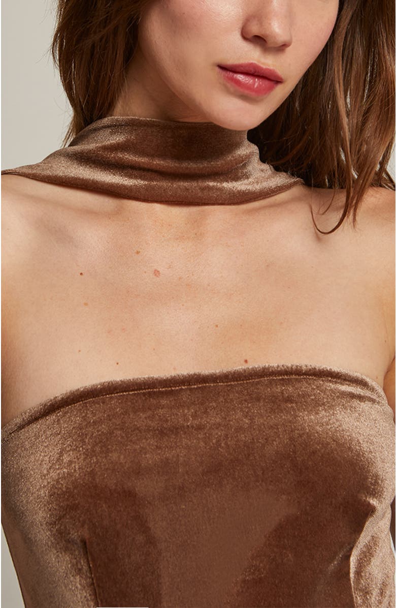 CRESCENT Halter Neck Velvet Tube Midi Dress, Alternate, color, Mocha Mousse