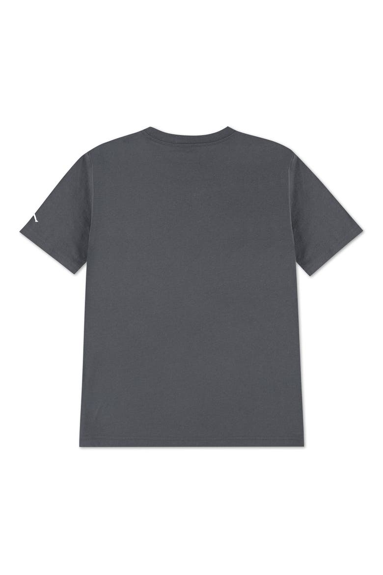 Kids' Distressed Chrome T-Shirt, Alternate, color, IRON GREY