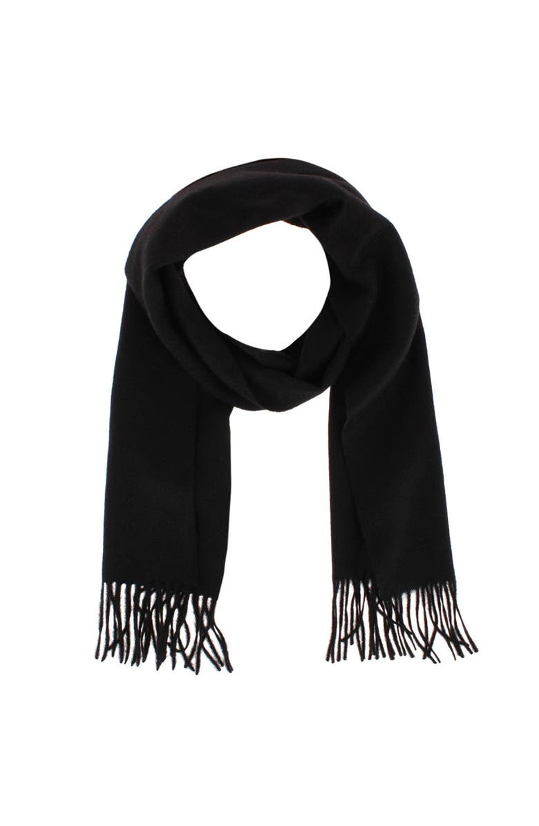 Trafalgar Camden Cashmere Soft and Cozy Neck Scarf, Alternate, color, Black