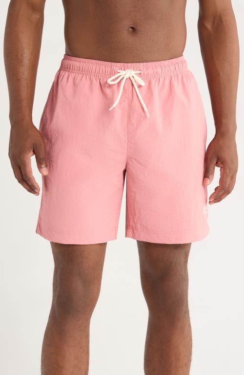 Pacsun Collegiate Shorts In Pink