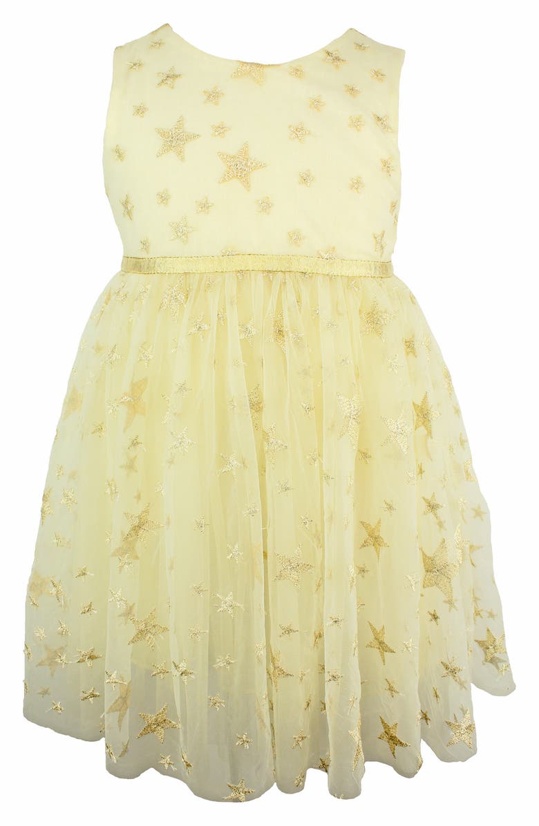 Popatu Embroidered Star Dress, Main, color,