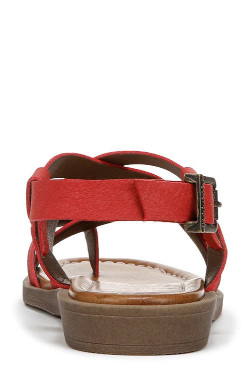 BLOWFISH MALIBU BLOWFISH MALIBU DEVON SANDAL