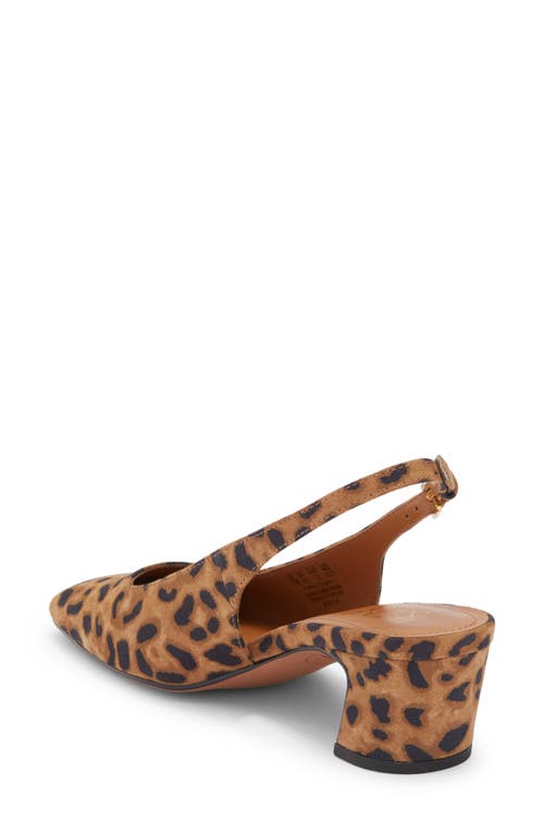 Franco Sarto Shayla Slingback Pump In Brown