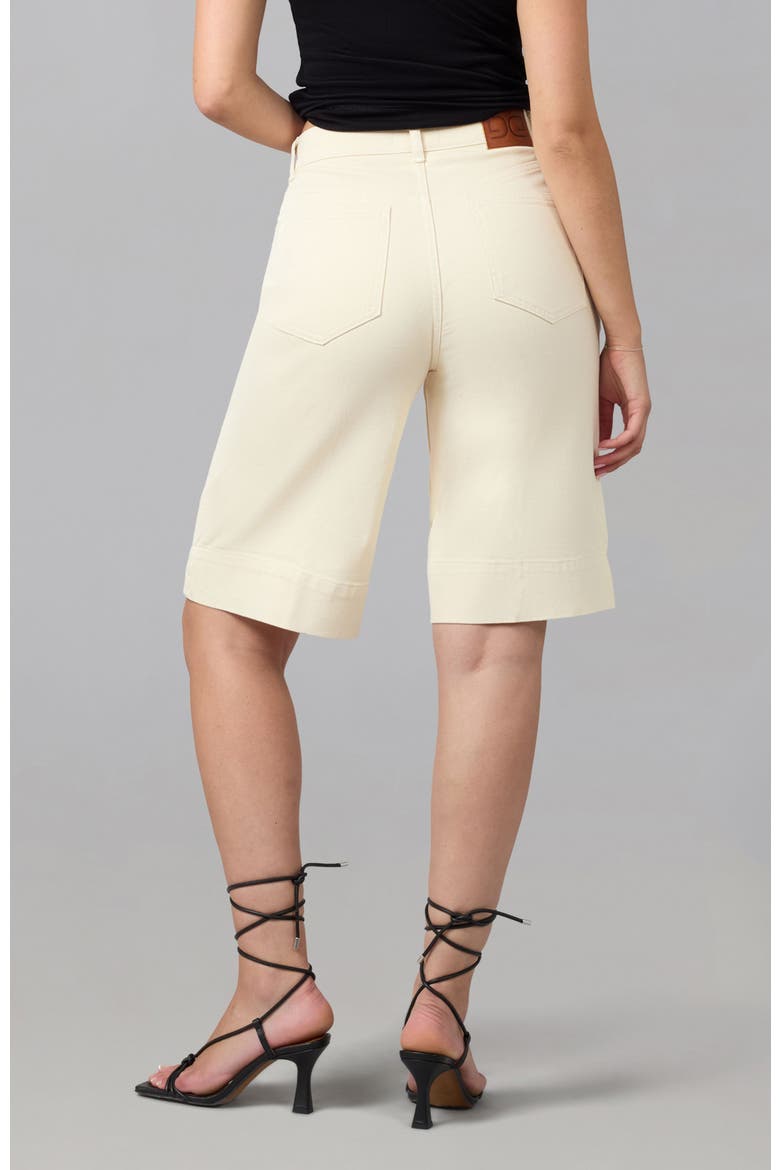 Seville High Rise Gaucho Jeans, Alternate, color, RAW