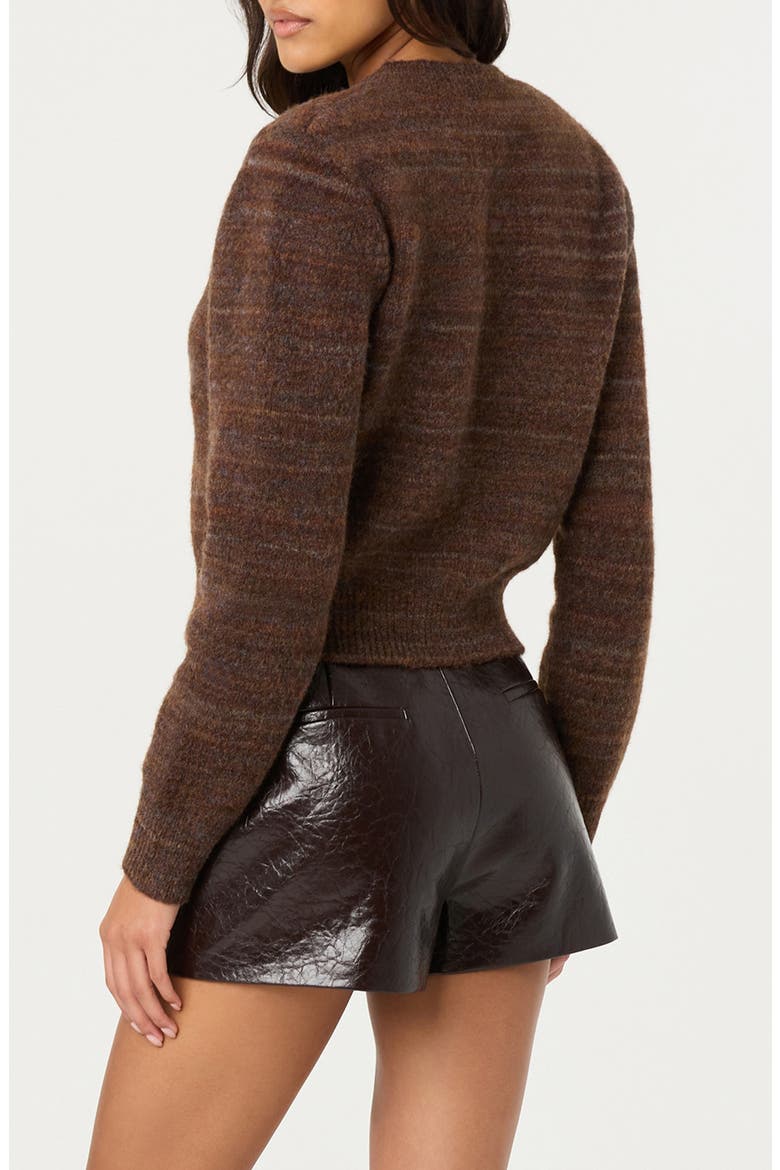 Dasia Embellished V-Neck Sweater, Alternate, color, BROWN