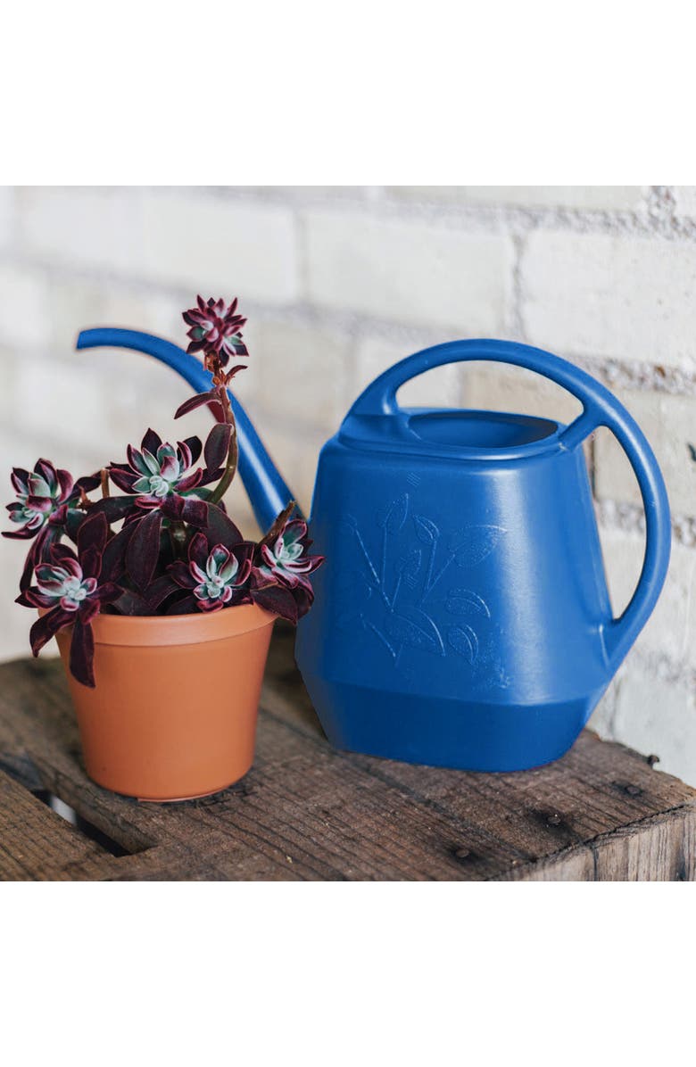 Bloem Aqua Rite 1.1 Gallon (144 Fl Oz) Classic Blue Garden Watering Can, Alternate, color, 