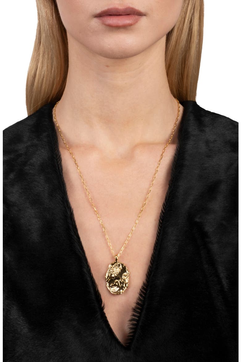 Brut 14k Gold Plated Lion Charm Pendant Necklace, Alternate, color, GOLD