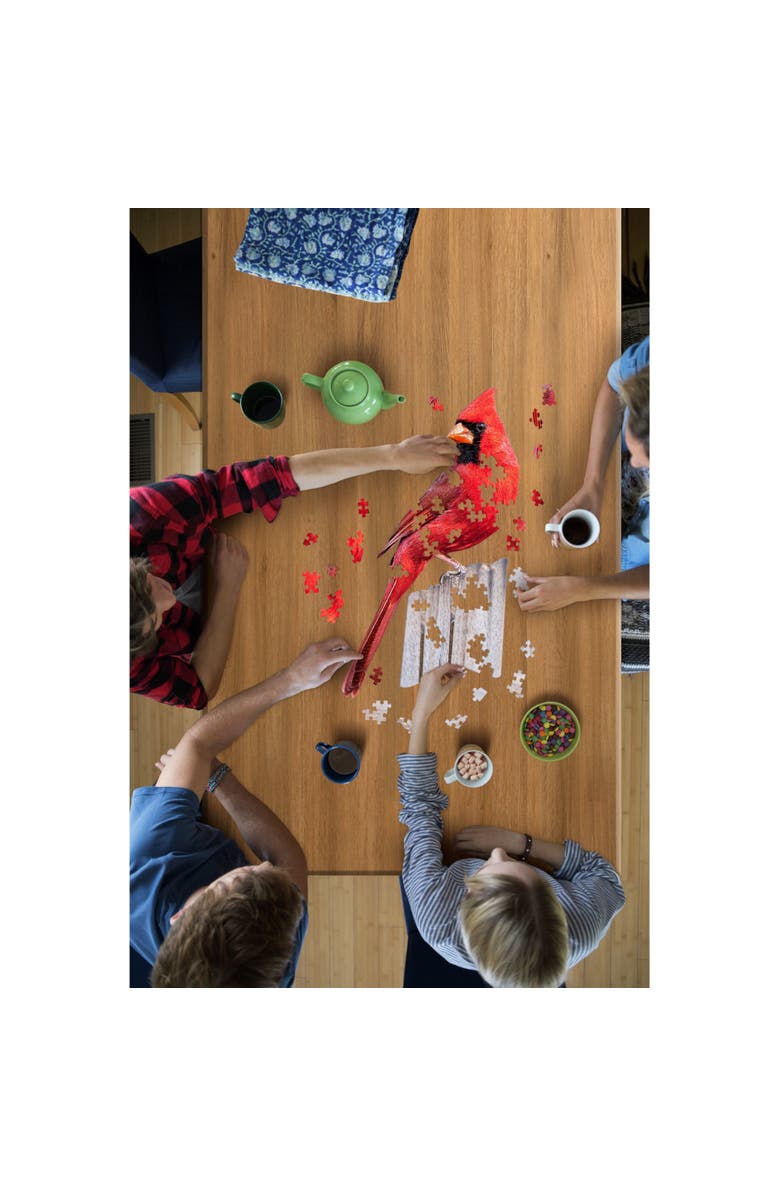 Madd Capp I Am Cardinal 300 Piece Bird Shaped Jigsaw Puzzle, Alternate, color, Multicolored