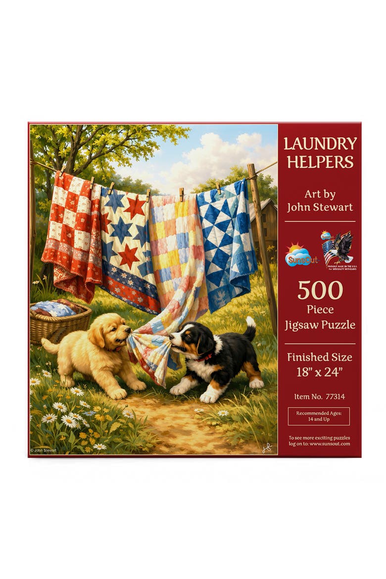 Laundry Helpers 500, Alternate, color, Multicolor