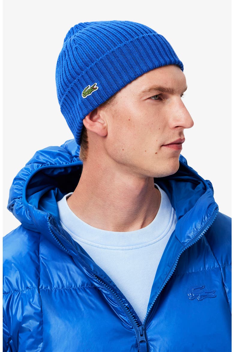 Water Repellent Down Short Puffer Jacket, Alternate, color, HJM LAZULI