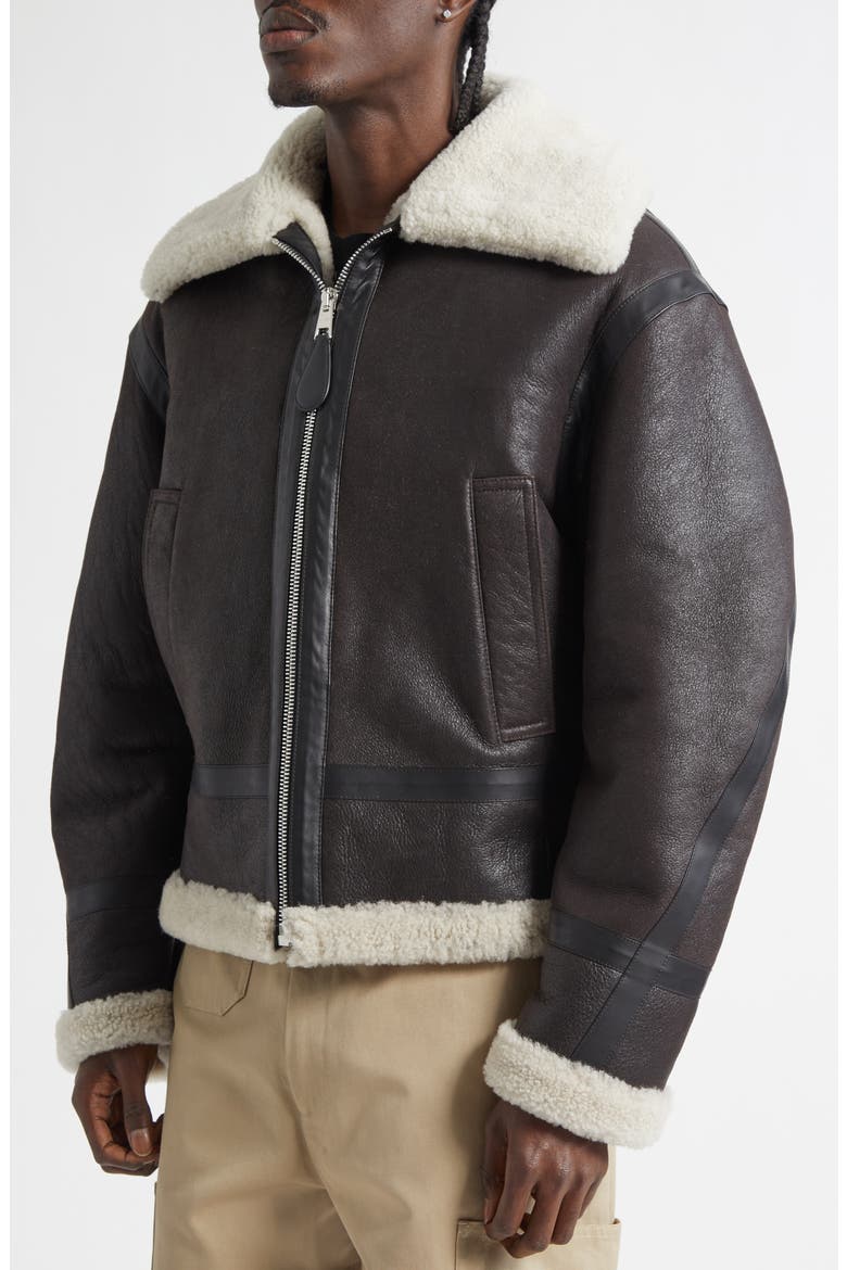 Genuine Shearling Liner Bomber Jacket, Alternate, color, DEEP BROWN
