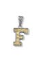  Silver/Gold F