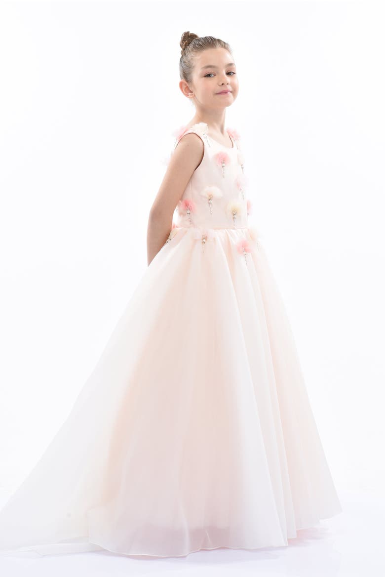 Magnolia Princess Gown, Alternate, color, Pink